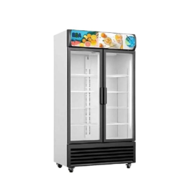 RSA Showcase 2 Pintu 600L OPAL